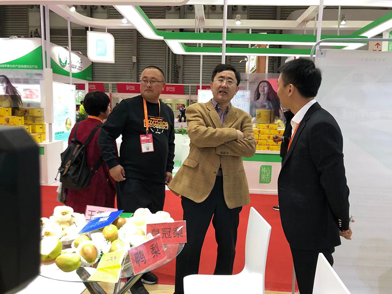 辛集市市委常委统战部部长张向，农业农村局副局长吕润航等领导带团参加了在上海举办的亚洲果蔬博览会